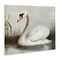 Stupell Industries Swan in Pond Painting Canvas Design By Ziwei Li